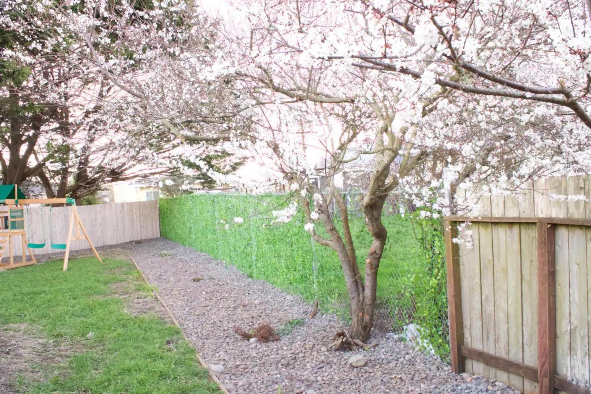 Private Home - Playground, Jumping Mat, Bbq, Darts, Firepit, Gazebo, 4 Smart Tvs, White Cotton Bedding, - The Redwood Cul-De Sac Beach Retreat 크레센트시티 외부 사진